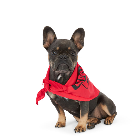 Pet Bandana