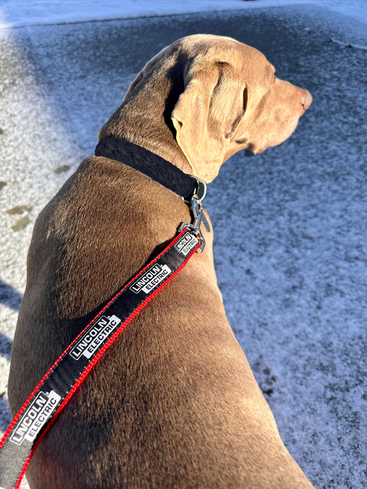 Pet Leash