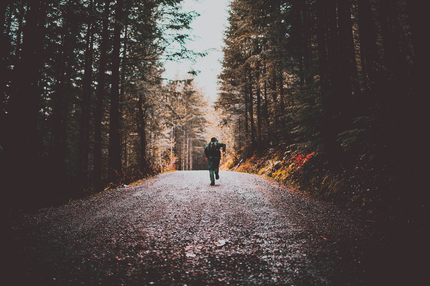 https://leredzone.com/cdn/shop/files/hiker-running-up-beaten-track-between-the-trees.jpg?v=1667494241&width=1500